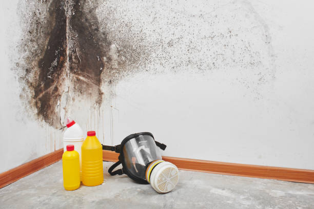 Best Crawl Space Mold Removal  in Big Pine, CA